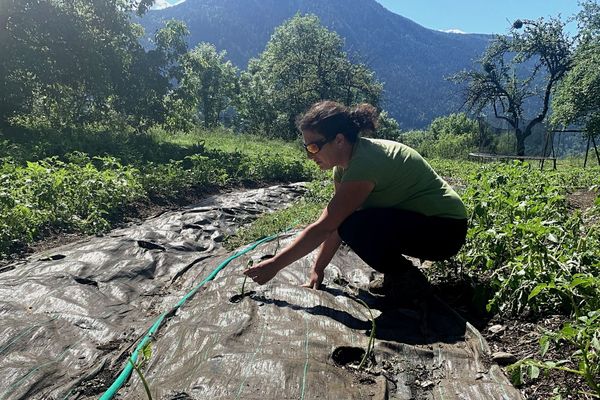 Une agricultrice appelle à la solidarité après les violents orages.