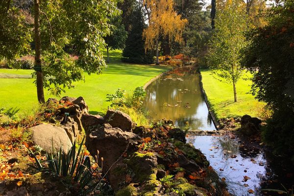 Un rayon de soleil d'automne dans le Jardin des Plantes de Nantes 