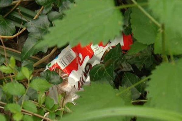 Toute sorte de déchets