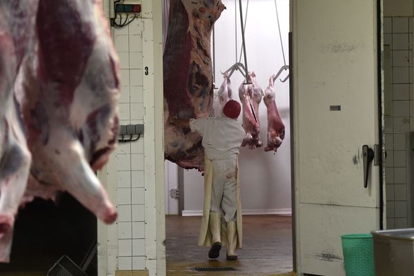 De nombreux cas de salariés atteints du Covid-19 sont recensés dans les abattoirs à travers le monde