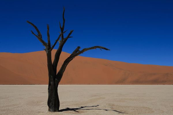 Namib Sand Sea, Namibie