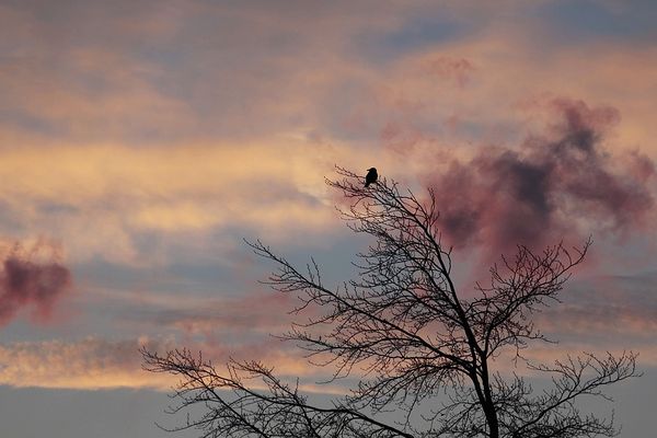 Un ciel encore capricieux au réveil.