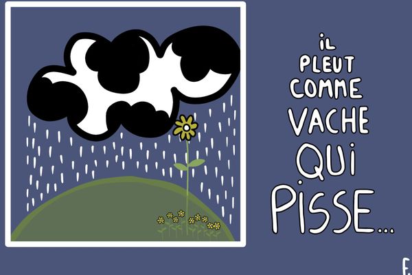 Étrange vache ou nuage bizarre ?