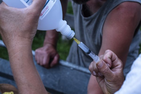 Le préfet de l'Hérault incite "fortement" les éleveurs à vacciner leurs animaux - Photo d'illustration