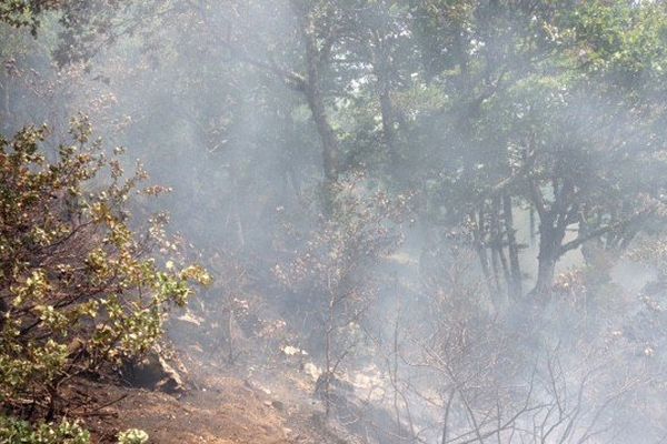 Les pompiers sont venus à bout des flammes de l'incendie de Gratte Bruyère sur la commune de Sérandon dans l'est de la Corrèze