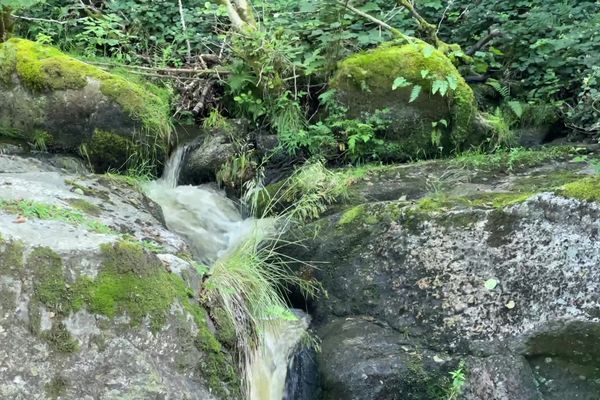 Vacances : s'évader en pleine nature, et loin de la chaleur, à la découverte des cascades du Limousin