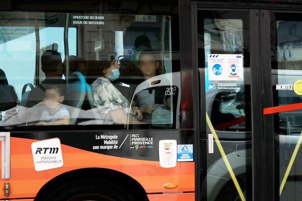 24 lignes de bus ont été perturbées à Marseille, hier, à cause d'une invasion de cafards.