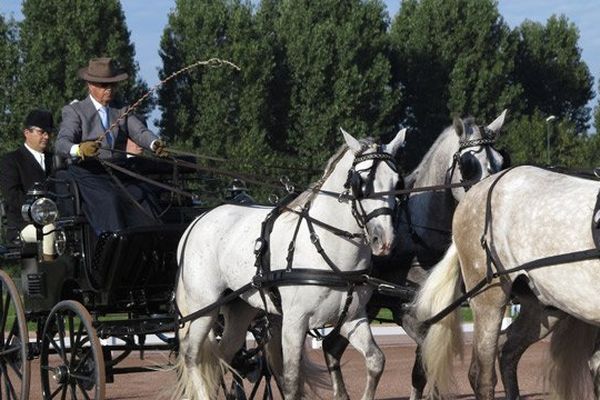 Test Event 2013 des Jeux Equestres Mondiaux 2014 - hippodrome de Caen 