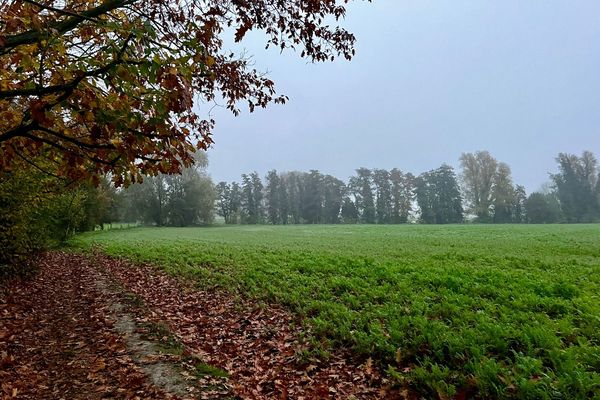 Encore et toujours un ciel bien gris (Phalempin 59)