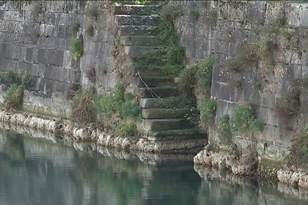 La criste marine sur les quais Maubec à La Rochelle