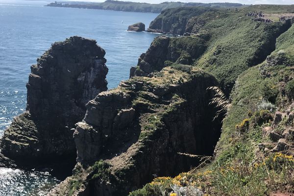 Réserve ornithologique du cap Fréhel