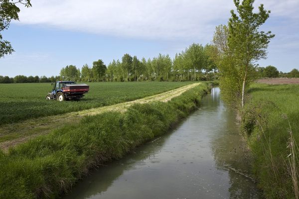 Le respect de la loi devrait permettre que les épandages de pesticides n'aient plus lieu à moins de 5m des milieux aquatiques.