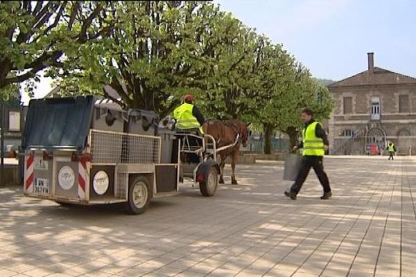 L'attelage à cheval et la collecte des déchets à Besançon