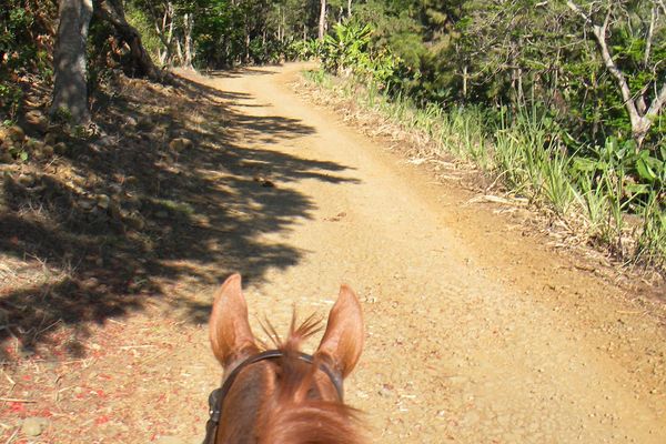 Marier sa passion du cheval avec celle des voyages. La démarche de Gilles Sebag.