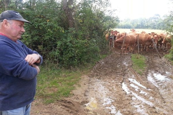 Marcel Aubouin du GAEC de l aGuillotière à Caunay devant son troupeau de vaches qui devrait être abattu.