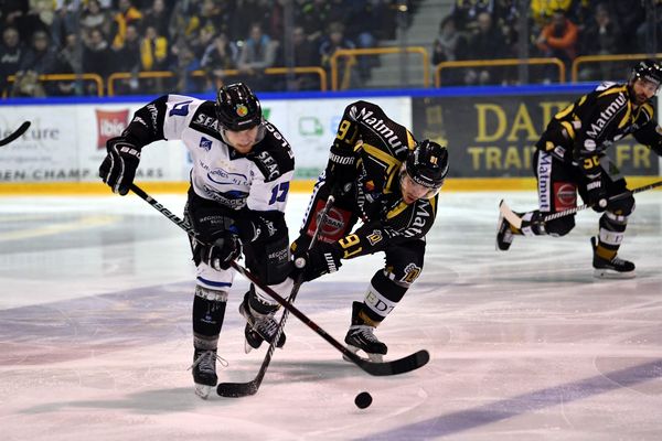 Les rapaces s'inclinent devant Rouen et sont éliminés de la Ligue Magnus