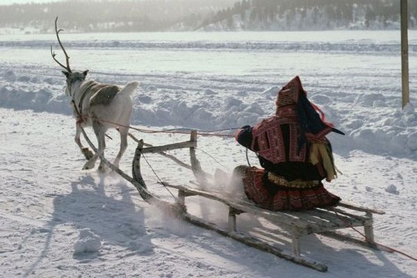 Point de vue image du monde : un homme se déplace sur a glace tiré par son renne en Finlande