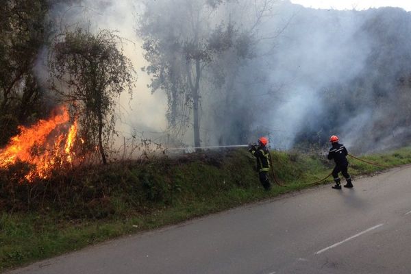 Penta-di-Casinca : incendie en bord de route