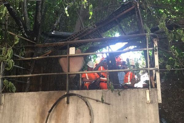 Le feu a pris dans un cabanon.