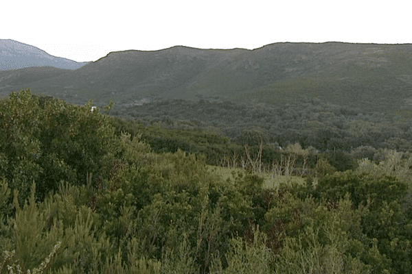 L'AFP a été annulée le 2 décembre dernier après un recours d'un propriétaire foncier de cette commune du cap Corse. 