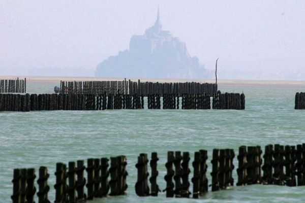 Une moulière au pied du Mont-Saint-Michel