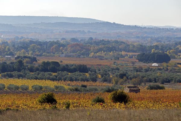 L'Occitanie est la deuxième superficie agricole de France.