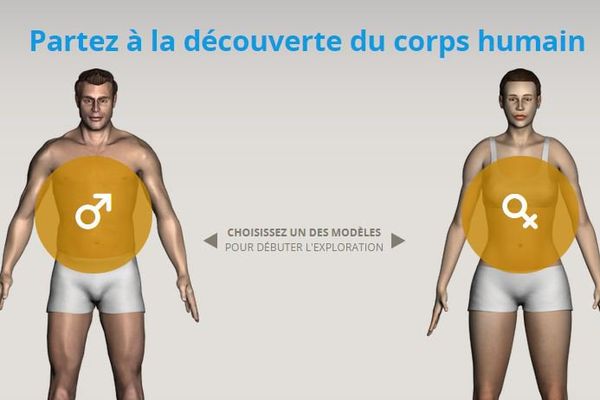 Le site internet Corpus créé par l'Education nationale