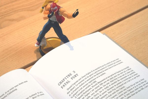 Livre dédié à l'univers du jeu vidéo "Street Fighter II"