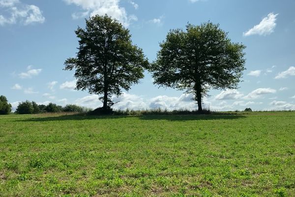 Le projet doit s'installer sur un terrain agricole de 7 hectares.