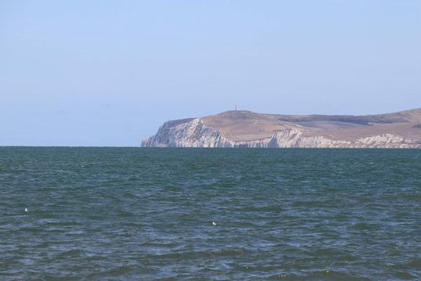 La découverte s'est faite entre le Cap Blanc-Nez et Sangatte.