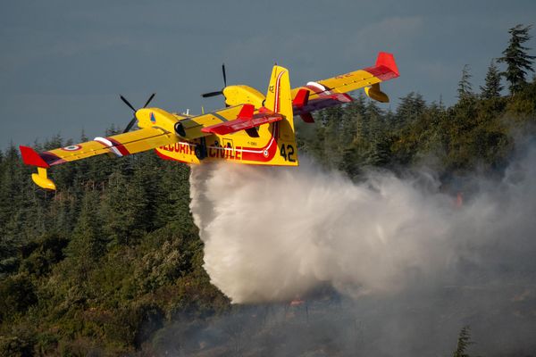 Parmi les moyens déployés pour venir à bout de l'incendie en cours dans les Pyrénées-Orientales, 7 canadairs et 2 hélicoptères bombardiers.