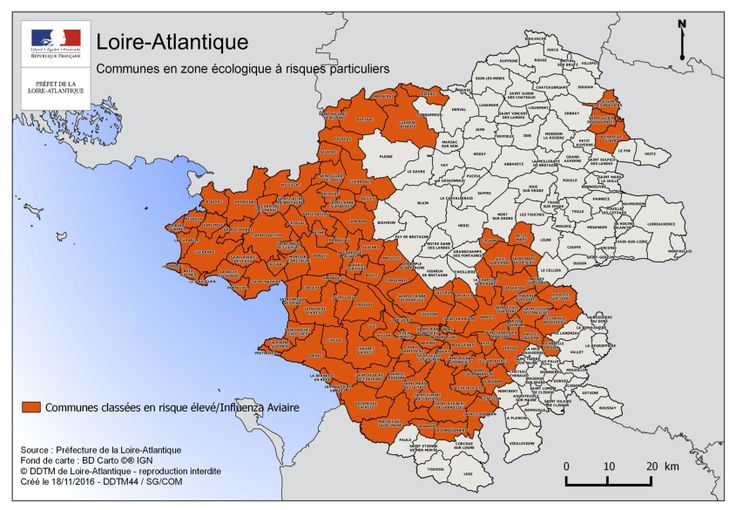 Pays De La Loire Les Volailles Aussi Vont Etre Confinees A Cause Du Virus Influenza Aviaire