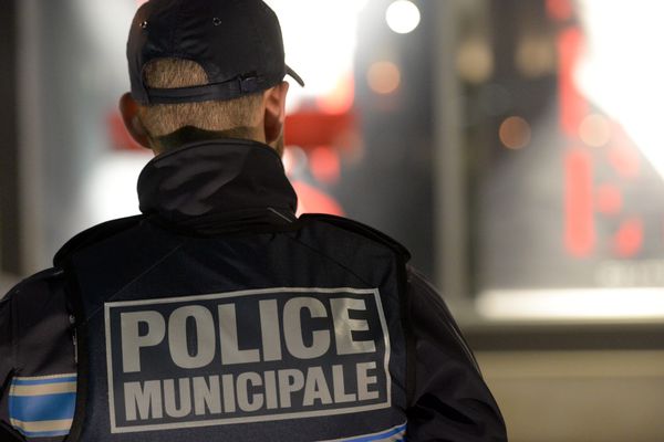 Ce sont des policiers municipaux de la ville de Toulouse qui ont permis cette belle prise d'armes et de stupéfiants après avoir été alertés par deux jeunes femmes.