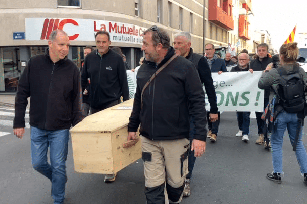 Une centaine d'agriculteurs a formé un cortège funèbre en direction de la préfecture des Pyrénées-Orientales. Mardi 26 novembre 2024.