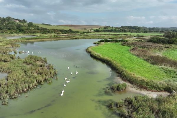 Quiberville a lancé un vaste projet pour mettre ses habitants à l'abri.