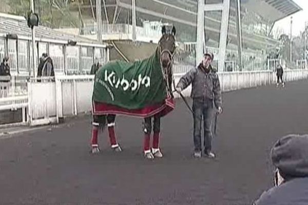 Ready Cash retrouve Vincennes, 26 janvier 2013