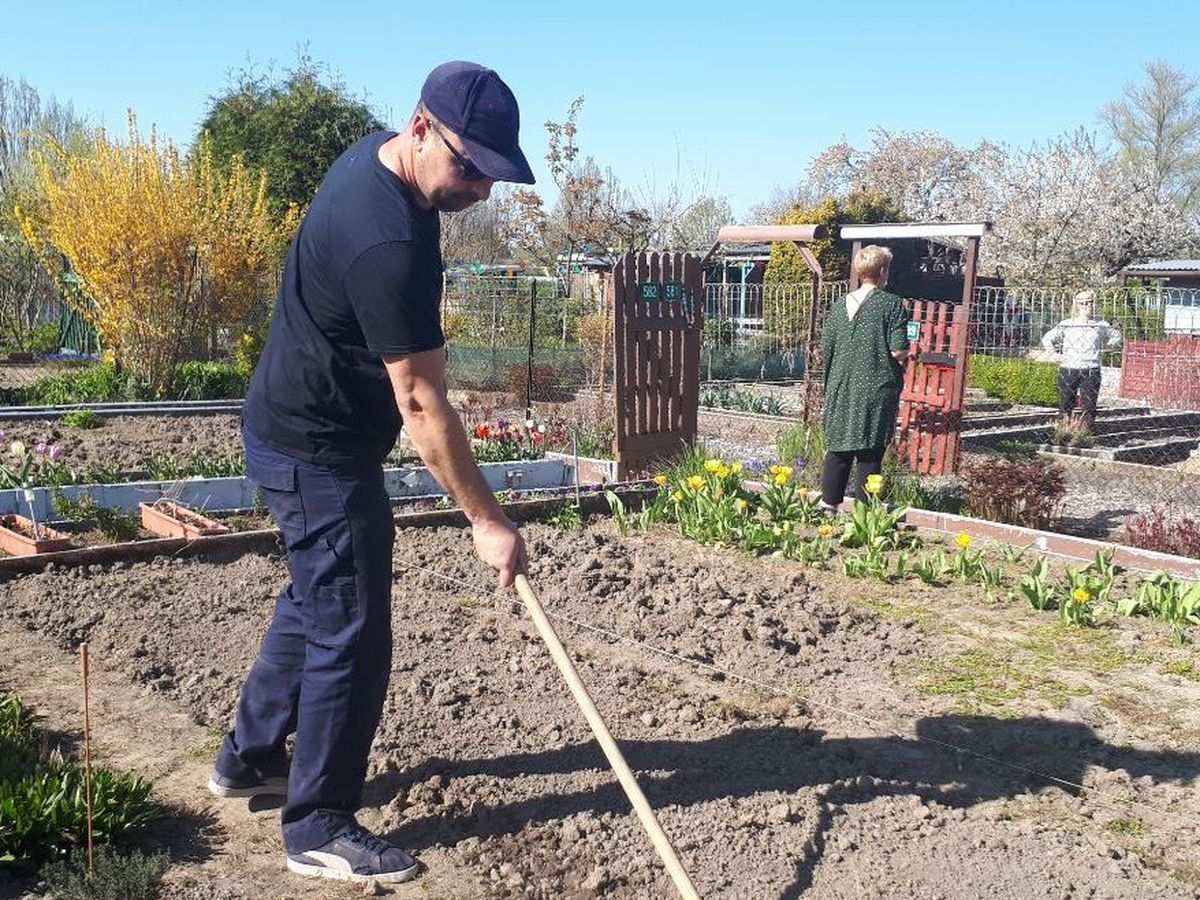 Calendrier le chien et ses amis 2024 de Jardinerie Bordeaux Libourn