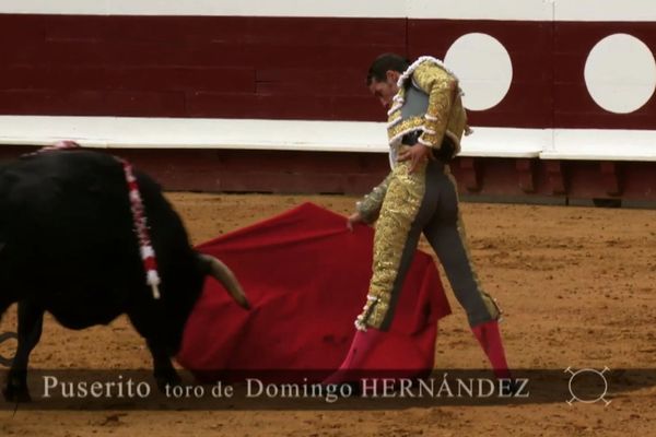 Pepe Moral lors de son triomphe l'an dernier à Dax. Images extraite du prochain numéro de "Signes du toro" qui sera diffusé le 17 avril à 10h45