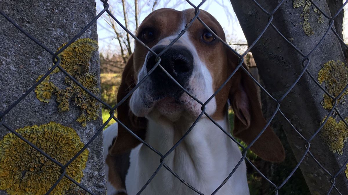 Ruralite En Dordogne Une Charte De Bon Voisinage Pour Le