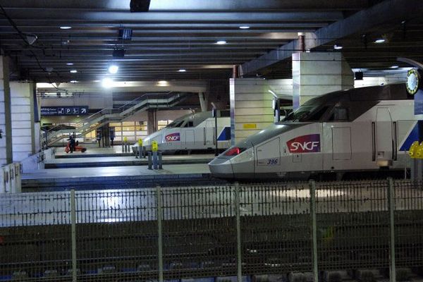 Des TGV attendent sur leur quai à la Gare Montparnasse, à Paris. 