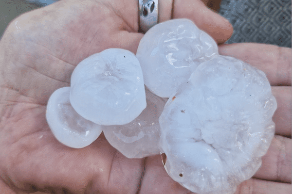 Des grelons de cette taille impressionnante ont fait des dégâts jeudi 11 juillet à Sauveterre-de-Guyenne.