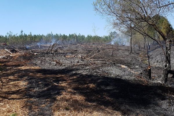 Le pyromane avait déclenché une dizaine d'incendies de forêt en Charente-Maritime. 