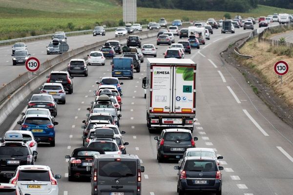 Le transport d'animaux en temps de canicule orange ou rouge est désormais prohibé l'après-midi.