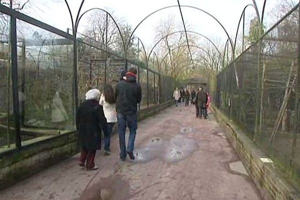 Les visiteurs étaient déjà nombreux pour la première journée d'ouverture.