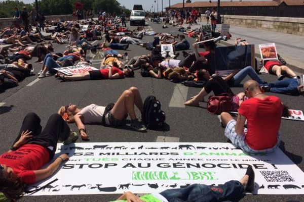 A Toulouse, les manifestants se sont couchés sur le Pont-Neuf.