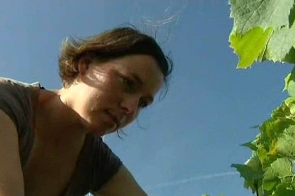 Imelda Figureau dans ses vignes