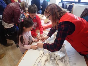 Le Centre de recherches archéologiques de Glisy Inrap ouvrira exceptionnellement ses portes samedi 15 juin pour les journées européennes de l'archéologie.