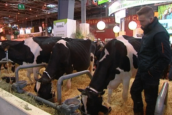 Bastien, 20 ans, étudiant à l'ESA d'Angers en stage au salon de l'agriculture de Paris.