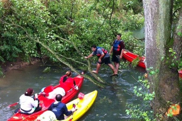 Les kayakistes sont régulièrement stoppés par des branches d'arbres jetées dans le Ton par, selon eux, les pêcheurs.