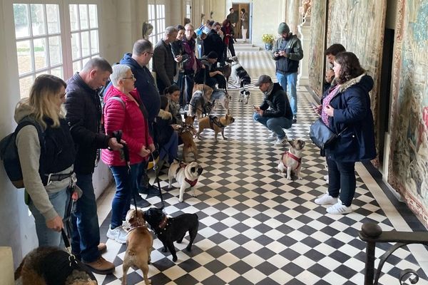 Les toutouristes ont investi le château d'Ussé samedi 12 novembre.